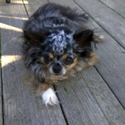 Profile Picture of Jon Iverson (@Potomac_Rover) on Twitter