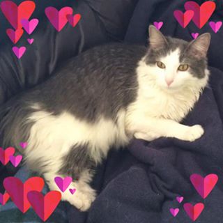 Profile Picture of Vickey Walker (@vickey.walker.3) on Facebook