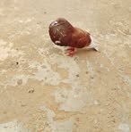 Robin Houd - Facebook Profile Picture of Robin Houd (@robin.houd.56437) on Facebook