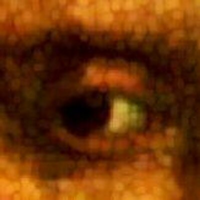 Profile Picture of Shakespearelogs (@shakespearelogs) on Twitter