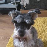 Profile Picture of Darrell jay beggs (@darrelljaybeggs) on Instagram