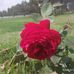 Profile Picture of Pratap Desai (@pratap.desai.50) on Facebook