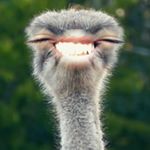 Profile Picture of Isaac Tovar (@prymetimee) on Instagram