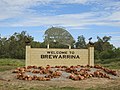 Profile Picture of Brewarrinaon Wikipedia