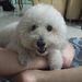 Profile Picture of Liew ChowHann (@lchowhann) on Pinterest