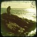 Profile Picture of Kimberly Utley (@kimberlyu) on Pinterest