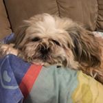 Profile Picture of Matthew Heikkila (@matthew_heikkila) on Instagram