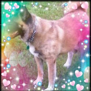 Profile Picture of Harry Thompson (@harry.thompson.123276) on Facebook