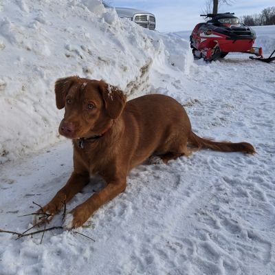 Profile Picture of Trent Petersen (@TrentPetersen15) on Twitter