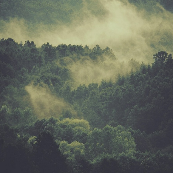 Profile Picture of Gavyn Andall (@gzab_andall) on Poshmark