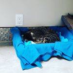 Profile Picture of Michael Skelton (@michaeloskelton) on Instagram