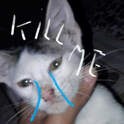 Profile Picture of KevinEscobar (@KevinToon1987) on Twitter