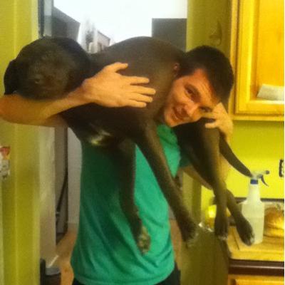 Profile Picture of James Carharton Twitter