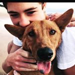 Profile Picture of Troy Getkate (@g3tkatexd) on Instagram