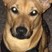 Profile Picture of Chen Doug (Lady E) (@Chen-Doug) on Facebook