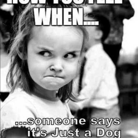 Profile Picture of Rachelle Staniec (@rachelleannst) on Poshmark