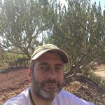 Profile Picture of Thomas Jäggi (@thomas.jaggi.583) on Instagram