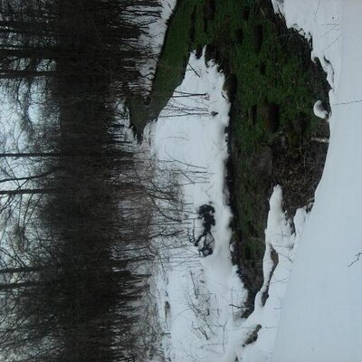 Profile Picture of Stuart Ballard (@xaliased) on Twitter