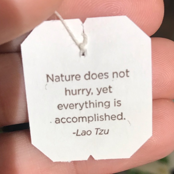 Profile Picture of Leonarda Babilonia (@leonababz) on Poshmark