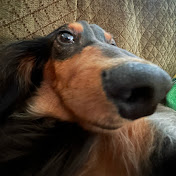 Profile Picture of Just Tilly (@Tillymacintyre) on Youtube