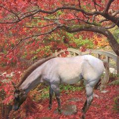 Profile Picture of Jeff Benham (@jeffbenham0) on Tiktok