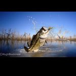 Profile Picture of Jacob Floorball (@voss_jacob) on Instagram