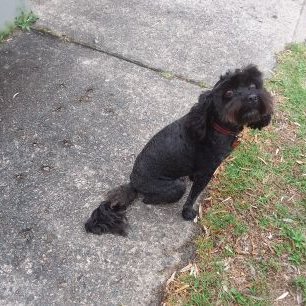 Profile Picture of Jeremy Oxley (@oxley_jeremy) on Twitter