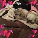 Profile Picture of Robin Halverson-Tuma (@halversontuma) on Instagram