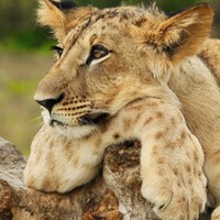 Profile Picture of Bill Powers (@bill-powers-22) on Quora