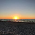 Profile Picture of David Angevine (@davidangevine) on Instagram