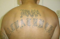 Profile Picture of MS-13 - Wikipedia, the free encyclopediaon Wikipedia