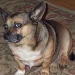 Profile Picture of Anne Wellbaum (@anne.wellbaum) on Facebook