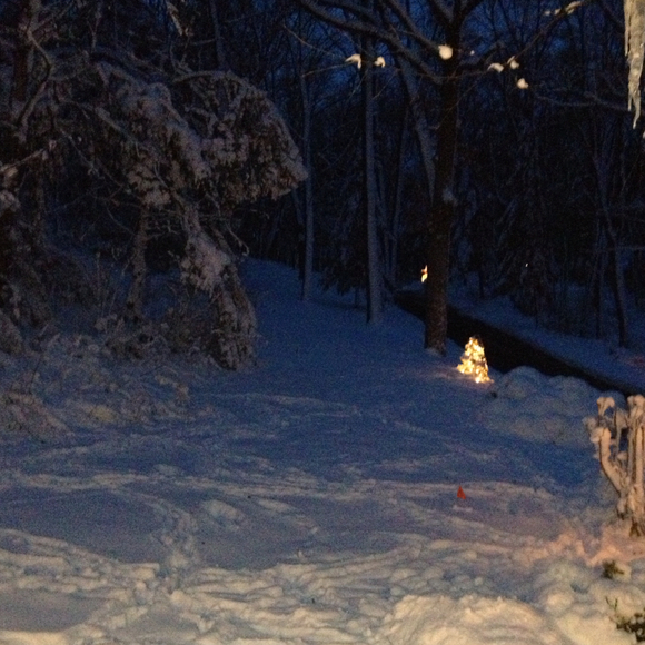 Elizabeth Volker - Poshmark Profile Picture of Elizabeth Volker (@evolker) on Poshmark