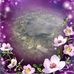 Profile Picture of Constance Diego (@constance.diego.7) on Facebook