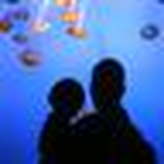 Profile Picture of Peter Linsley (@Peter Linsley) on Flickr