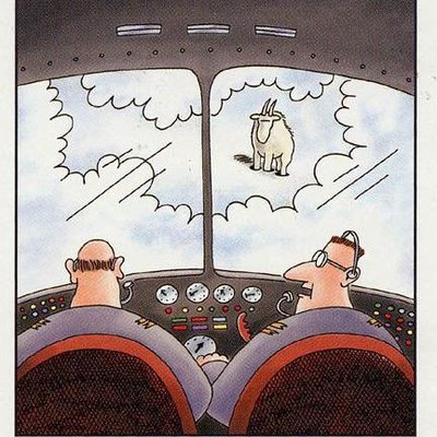 Profile Picture of Robert Emmett (@irishbark) on Twitter