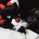 Profile Picture of Arco Wolf (@Arco Wolf) on Flickr