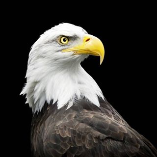 Profile Picture of Jeremiahn Prather (@jeremiahn.prather) on Facebook