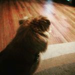 Profile Picture of Michael krachan (@michaelkrachan) on Instagram