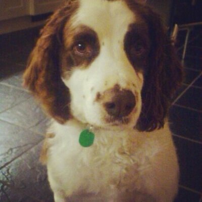 Profile Picture of Brian Caster Hover (@bConnolly_REC) on Twitter