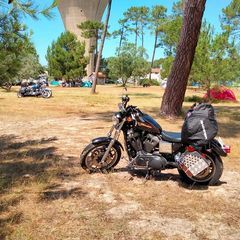 David Digan - Tiktok Profile Picture of David Digan (@david.digan) on Tiktok