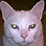 Profile Picture of Mark Farmer (@desertprancer) on Flickr