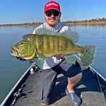 Profile Picture of Ricardo Demônico (@pescador.ricardinho) on Instagram