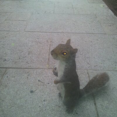 Profile Picture of Tony Robb (@tonyrobb90) on Twitter