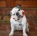 Profile Picture of Joseph Gennaro (@joseph.gennaro.58) on Facebook
