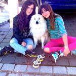 Profile Picture of Julia Jelen (@starlightwolfsound) on Instagram