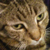 Profile Picture of Justin Moir (@justinmoir1293) on Youtube