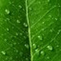 Profile Picture of Nicolle Nelson (@nicolle-nelson-3) on Quora