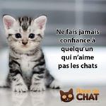 Profile Picture of Sabine Roynet (@babouplanete_cats) on Instagram