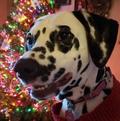 Profile Picture of Seth Staggs840 (@ssff487) on Tiktok